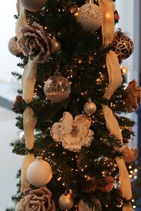 kerstboom-havenkantoor kerstboom-havenkantoor